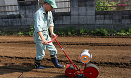 Seeder Tape Sowing Method