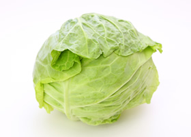 カンラン(育苗)