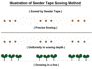 Illustration of Seeder Tape Sowing Method