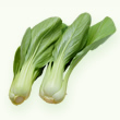 中国野菜(直播）