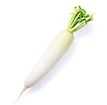 大根