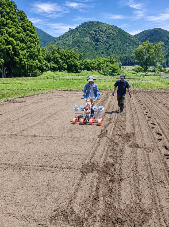 静岡県の圃場で手押し式播種機を操作する作業者